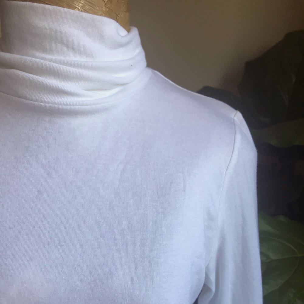 Turtleneck sweater/tee